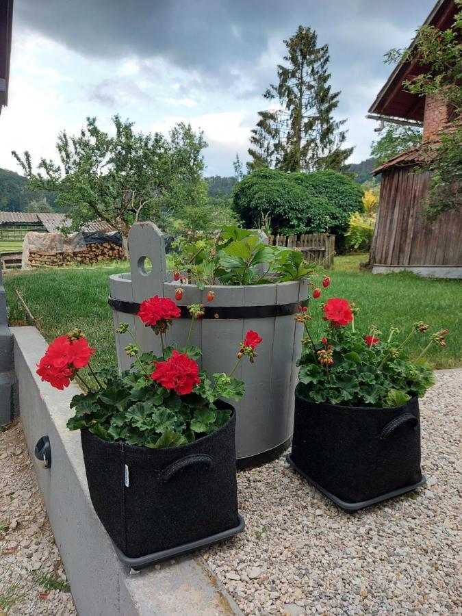 Pr' Sovarjo Zgornje Gorje Luaran gambar